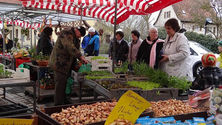 Der Frühling und damit die Gartenzeit naht. Junge Pflanzen und Blumenzwiebeln waren sehr gefragt.  Fotos: Johanna Eckert