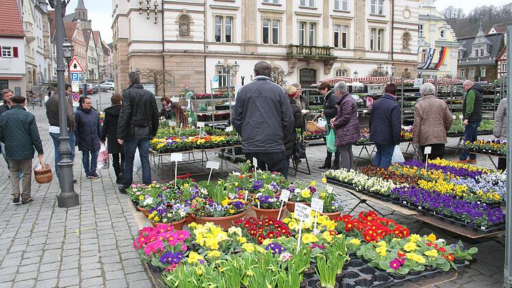 ... gehört für viele Kulmbacher ein Einkaufsbummel am Samstagvormittag dazu. Fotos: Sonja Adam