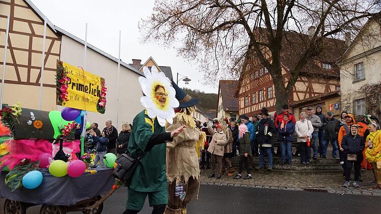 Faschingszug in SulzthalFoto: Arkadius Guzy