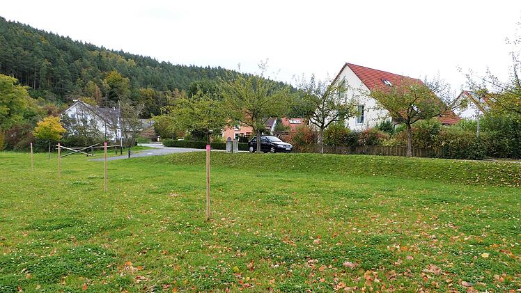 Zur Umgestaltung des Festplatzes fiel bei der Sitzung am Dienstagabend eine Entscheidung: An den mit Holzpflöcken markierten Stellen werden großkronige Winterlinden gepflanzt.Werner Reißaus