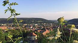 Vorschaubild