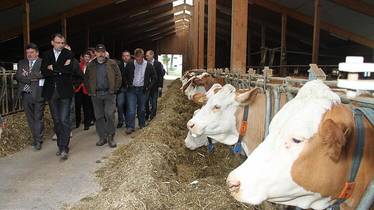 Über die Produktionsbedingungen in der Landwirtschaft informierten sich zahlreiche Politiker auf dem Hof der Familie Erlmann in Waldau (Foto) und anschließen im Betrieb der Familien Knörrer und Popp in Pechgraben.  Foto: Jürgen Gärtner