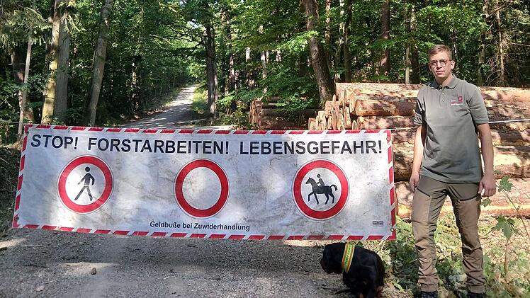 Forchheim: Waldstück gesperrt - Stadt warnt vor Lebensgefahr
