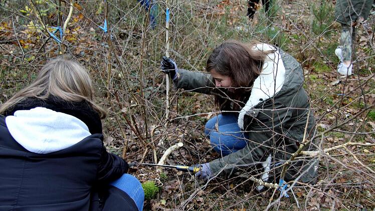 Die Vorgabe war, den unerwünschten Bewuchs möglichst nah über dem Boden abzuschneiden.Richard Sänger