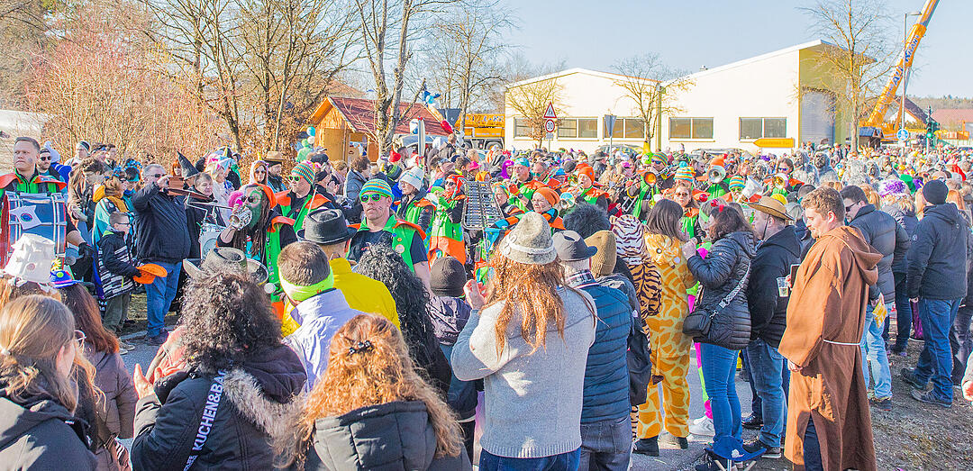 Allersberg feiert Fasching!