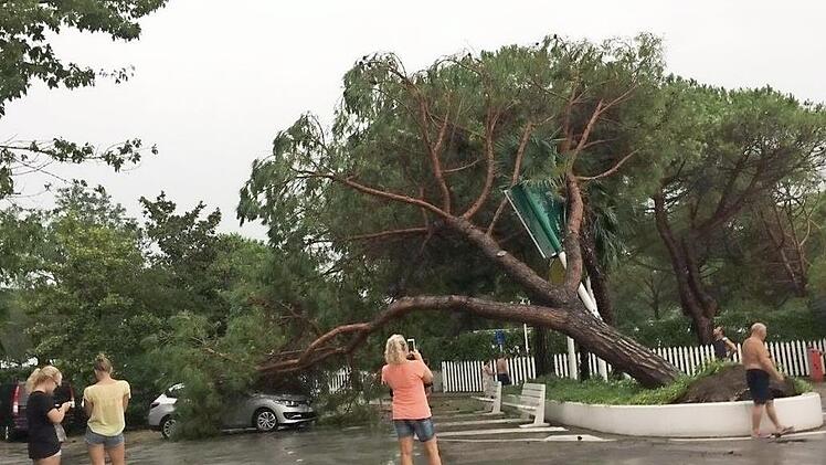 Das Unwetter entwurzelte auch kräftige Bäume.  Fotos: Matthias und Maurice Räder