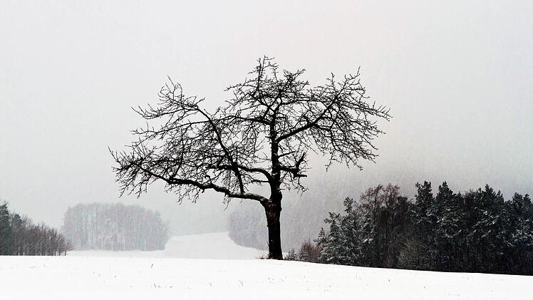 Winter bei Morschreuth