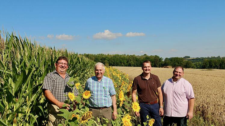 Im Bl&uuml;hstreifen stehen (von links) Landwirt Harald Peetz, Harald H&uuml;hnlein,  Syngenta-Saatschutzberater Christian Schneider und Harald K&ouml;ppel vom BBV.Adriane Lochner