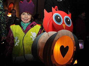 Sophie Herold ist sechs Jahre alt und war beim Martinsumzug der Melkendorfer Kinder mit einer tollen selbst gebastelten Laterne unterwegs.  Foto: Dagmar Besand