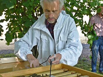 Richard Rossa zeigt in Gemünda, wie die Bienensauna funktioniert. Foto: Gabi Arnold
