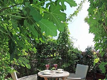 Sch&ouml;n angeordnete und gut gepflegte Obst- und Beerenpflanzen verwandeln einen Balkon in ein mediterran wirkendes Paradies - fast wie im Urlaub.  Foto: Thomas Neder