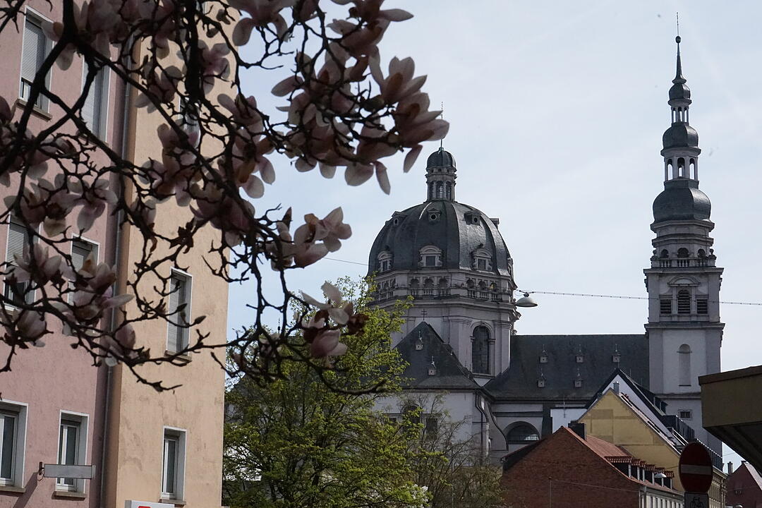 Blühendes Würzburg