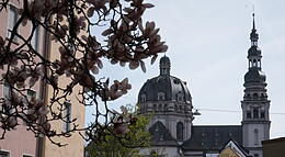 Vorschaubild