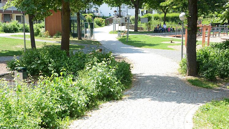 Schöner Rad- und Fußweg im Grünzug hinter der Stadthalle Foto: Dagmar Besand