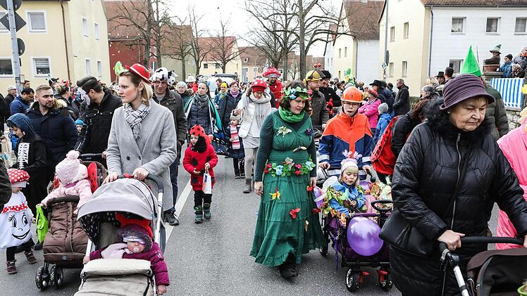 Faschingsumzug in der Bamberger Gartenstadt Foto: Barbara Herbst