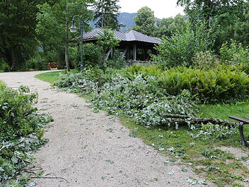 Starke Unwetter über Bayern - Sturmböen entwurzeln zahlreiche Bäume