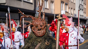 Fasching 2025 in Nürnberg!