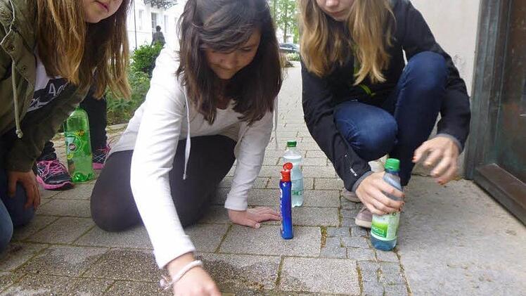 Schüler der Realschule reinigten die Stolpersteine, die in Bad Kissingen an die Opfer der Nazis erinnern. Foto: Reuter