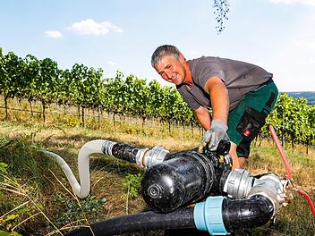 Aus dem Tankwagen pumpt Erich Troll  das Wasser in die Bewässerungsanlage des Weinbergs der Firma Laufer in Unterhaid (Landkreis Bamberg) Matthias Hoch