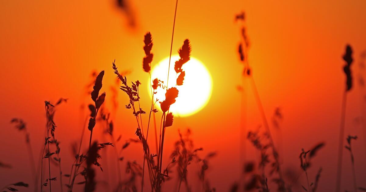 Heatwave in Franconia - | Slight cooling on the way