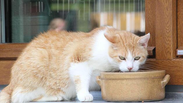 Symbolfoto: Heike Beudert