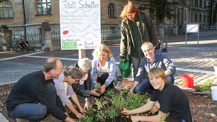 Eine Belebung der "lebensfeindlichen Schotterflächen" unternahmen die Grünen in eigener Regie am Wilhelmsplatz. Dort schaut die Neupflanzung mittlerweile freilich bereits etwas mitgenommen aus.