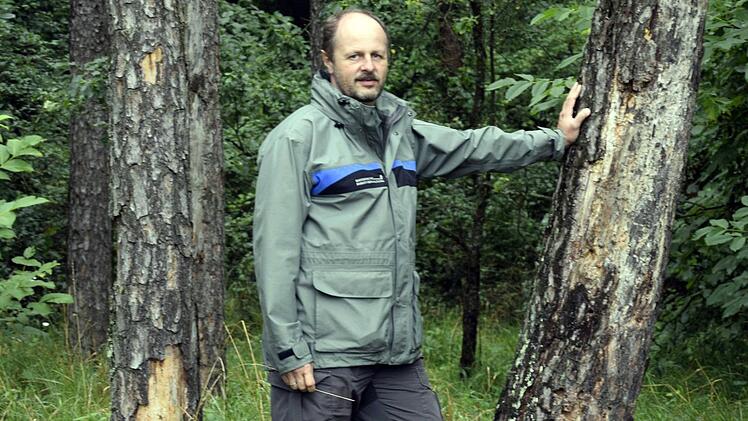Forstdirektor Oliver Kröner zwischen zwei abgestorbenen Kiefern in der Frauendorfer Flur. Fachgerechte Pflege tut Not. Foto: Welz