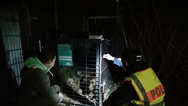 Tiersch&uuml;tzerin Andrea Schmidt und Christioph Reh, Oberkommissar der Polizei  Erlangen-Land, haben den Hund in der Lebendfalle gesichert.   Foto: privat