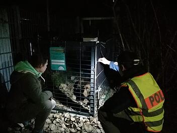 Tierschützerin Andrea Schmidt und Christioph Reh, Oberkommissar der Polizei  Erlangen-Land, haben den Hund in der Lebendfalle gesichert.   Foto: privat