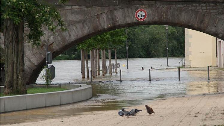 Unter der Alten Mainbrücke in Kitzingen stand das Wasser schon höher; hier blieb die Hochwasserlage vergleichsweise entspannt.   Foto: G. Bauer