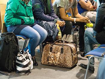 In der Turnhalle des Berufsschulzentrums in Herzogenaurach sind seit kurzem Flüchtlinge untergebracht.  Foto: Symbolbild/Archiv