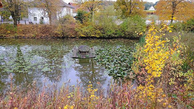 Niemand wei&szlig; wirklich, wieviel Schlamm im Wittersh&auml;user L&ouml;schteich drin ist - deshalb sind auch die Kosten f&uuml;r das Ausbaggern so schwer absch&auml;tzbar.  Foto: Gerd Schaar
