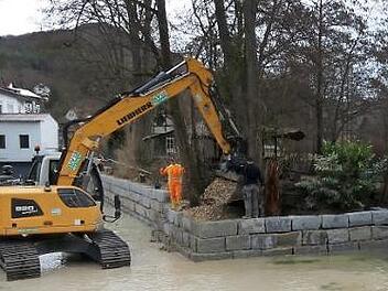 Der Bagger bei den Arbeiten an der Muggendorfer Insel Foto: Paul Pöhlmann