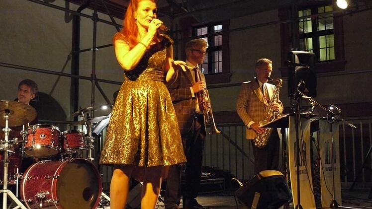 Die Band "Delphi" aus Berlin trat im Pfalzmuseum auf.  Fotos: Pauline Lindner