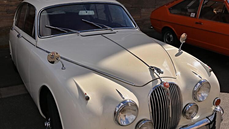 Der Jaguar "lauert"!Helmut Will