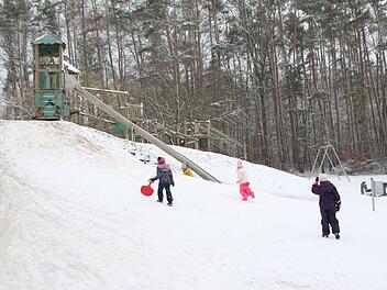 Der Wald im Bereich des Abenteuerspielplatzes in Höchstadt-Süd wäre geeignet.