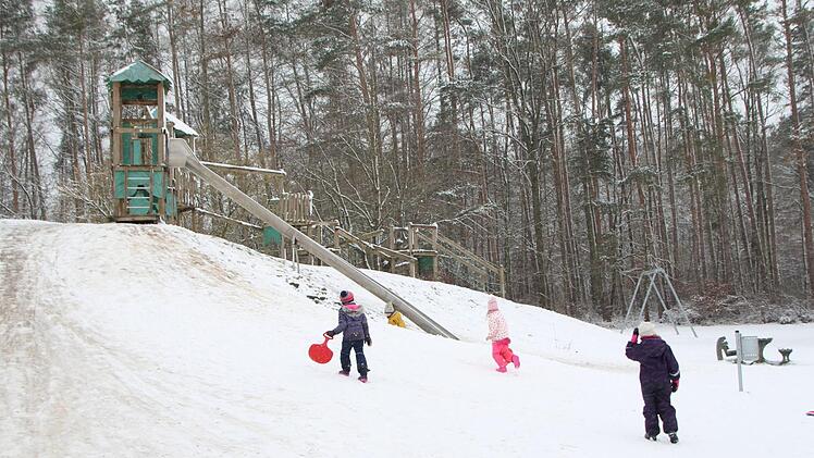 Der Wald im Bereich des Abenteuerspielplatzes in Höchstadt-Süd wäre geeignet.