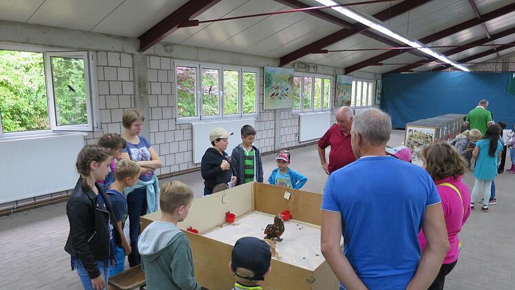 Eindrücke vom Ferienprogramm der Nüdlinger Kleintierzüchter.   Foto: Vanessa Gessner