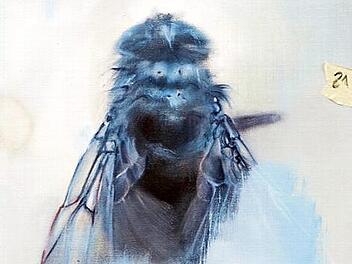 "The Fly" von Natalie Port  Foto: Sebastian Laubert