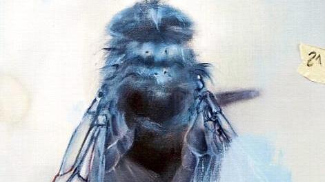 "The Fly" von Natalie Port  Foto: Sebastian Laubert