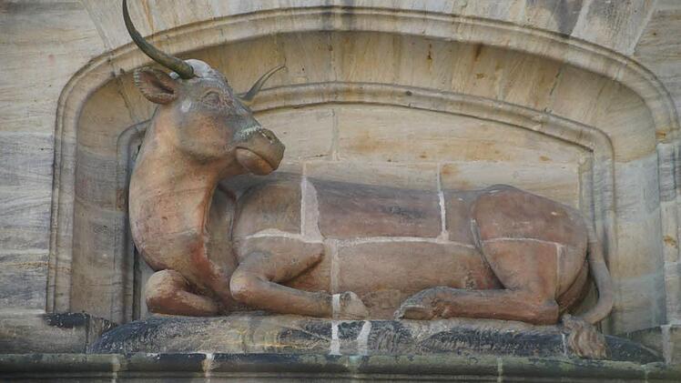 Der Ochse, der nie ein Kalb war Foto: Gerhard Albert