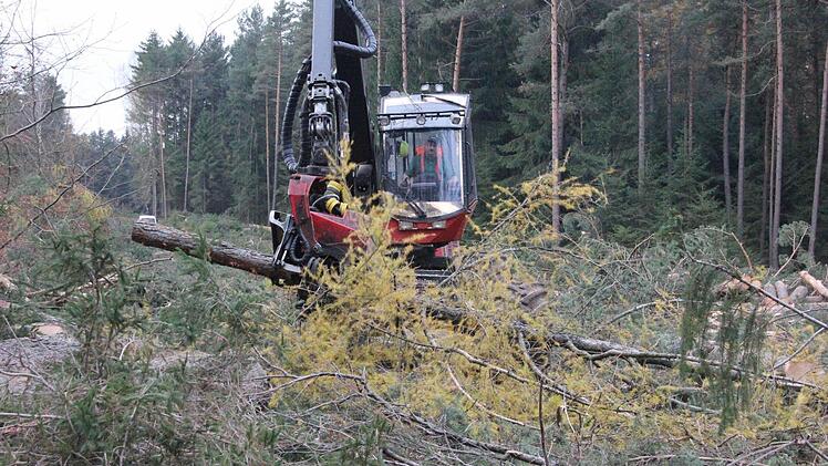 Mit dem Harvester werden die Bäume gefällt, entastet und abgelängt. Foto: Friedwald Schedel