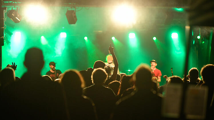 Bamberg: "Bamberger Festivals" pr&auml;sentiert Revolution Fest 3.0 - mit Vortrag und Bands rund um Punk