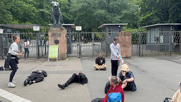 Vor Tiergarten Nürnberg: Aktivsten simulieren Paviantötung