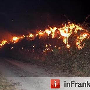 brand breitbrunn 2