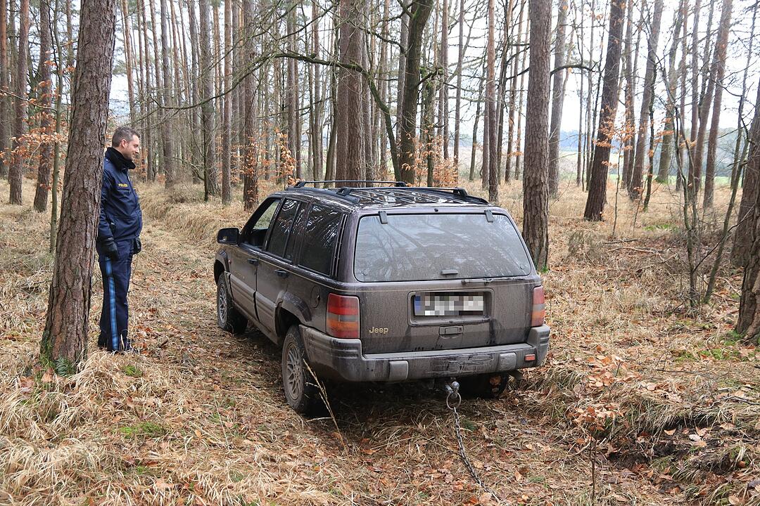 Verfolgungsjagd durch Oberfranken: Mann flieht vor Polizei in den Wald