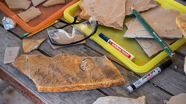 Grabung des Naturkundemuseums Bamberg nach Fossilien