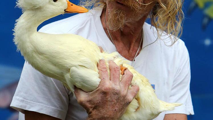 Im Zwiegespräch mit dem Federvieh: Dieter Schetz bereitet seine "Partnerin" auf ihre Rutschpartie in ein Wasserbassin vor. "Ich nutze bei meinen Nummern nur die natürlichen Abläufe der Tiere", erklärt er.