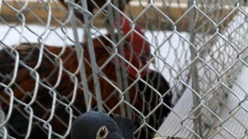 Foto: Richard Sänger