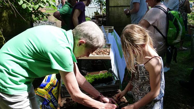 Anne Kurlemann topfte mit Kindern Salatpflanzen ein.